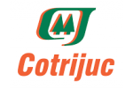 Cotrijuc